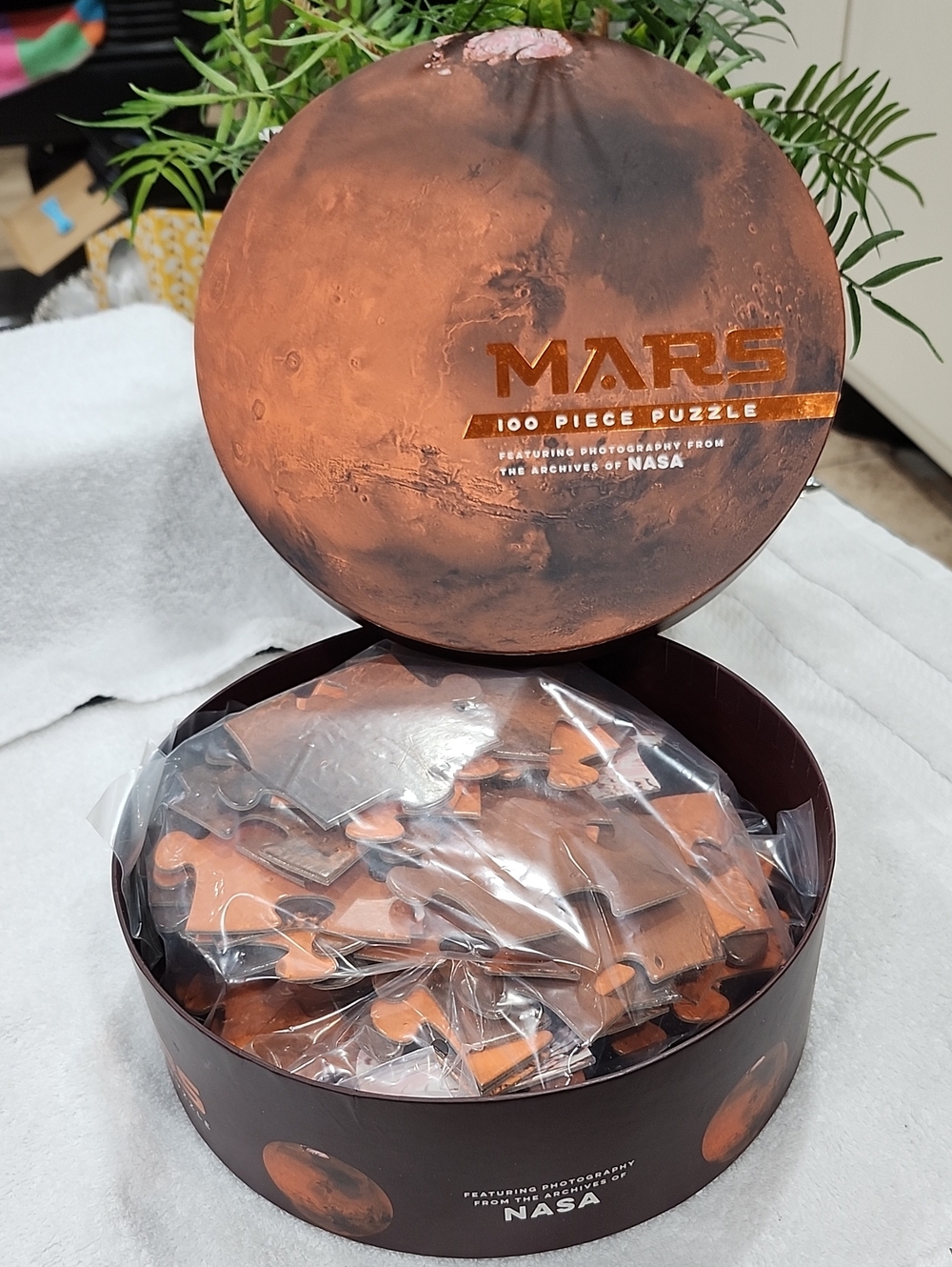 Mars 100-Piece Puzzle - NASA Photographs